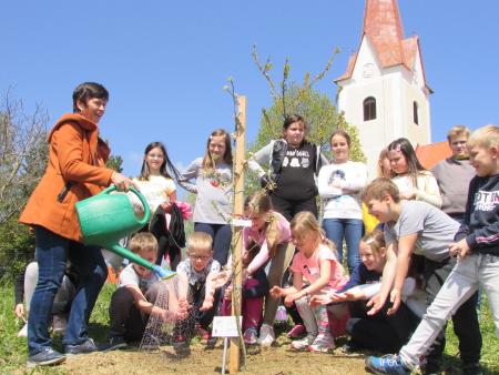 V KS Prevorje so skrb za drevesca prevzeli najmlajši krajani iz POŠ Prevorje. 
